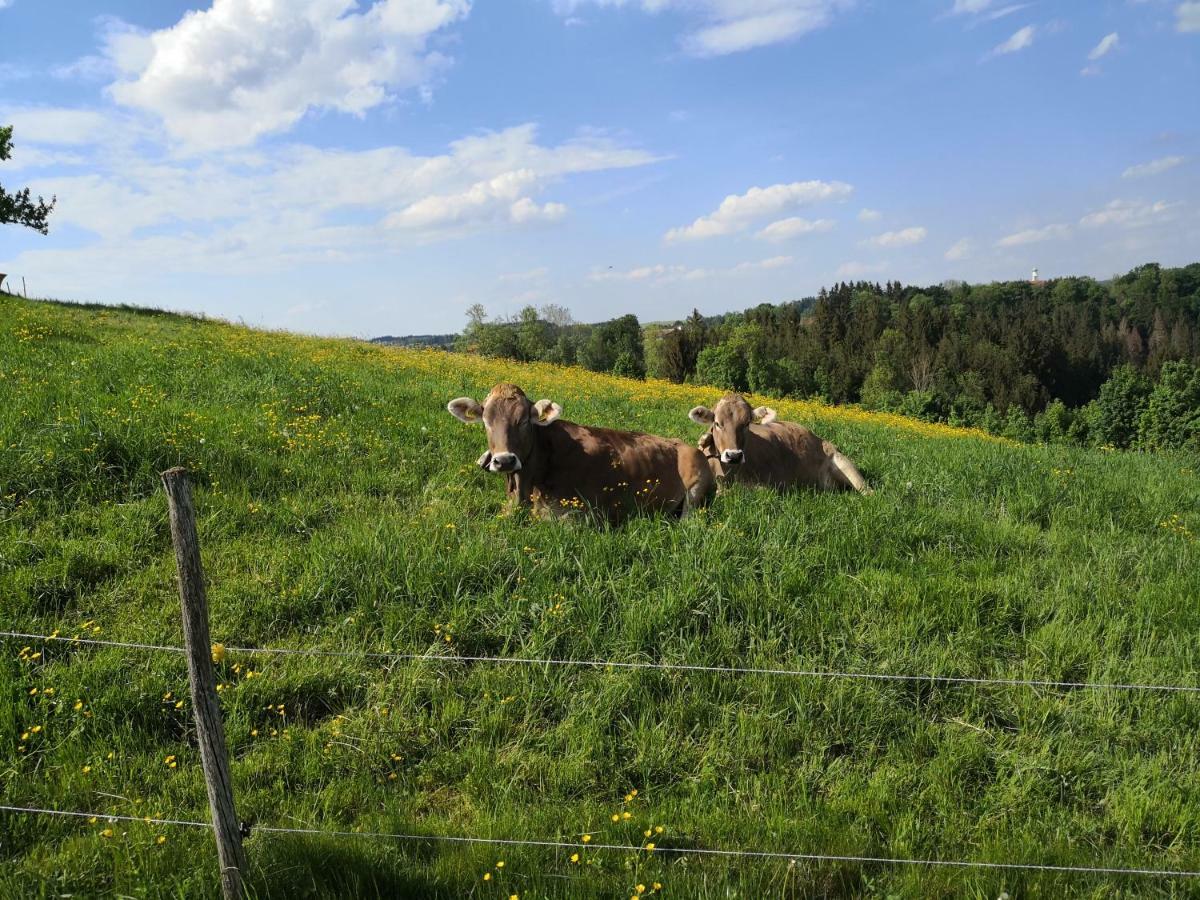Jaegerstueble Leilighet Altusried Eksteriør bilde